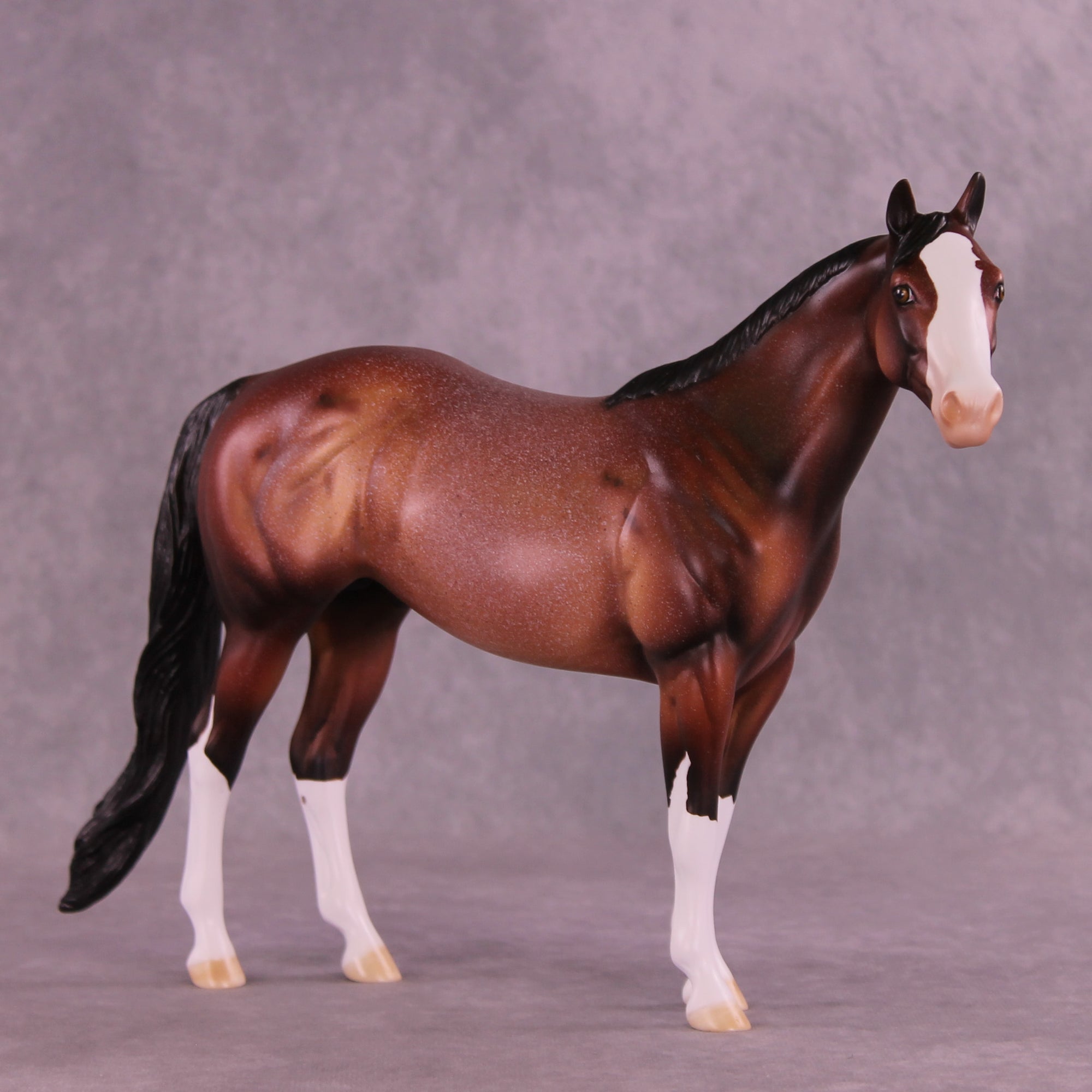 Apéritif OOAK Ideal Stock Horse by Dawn Quick HS25