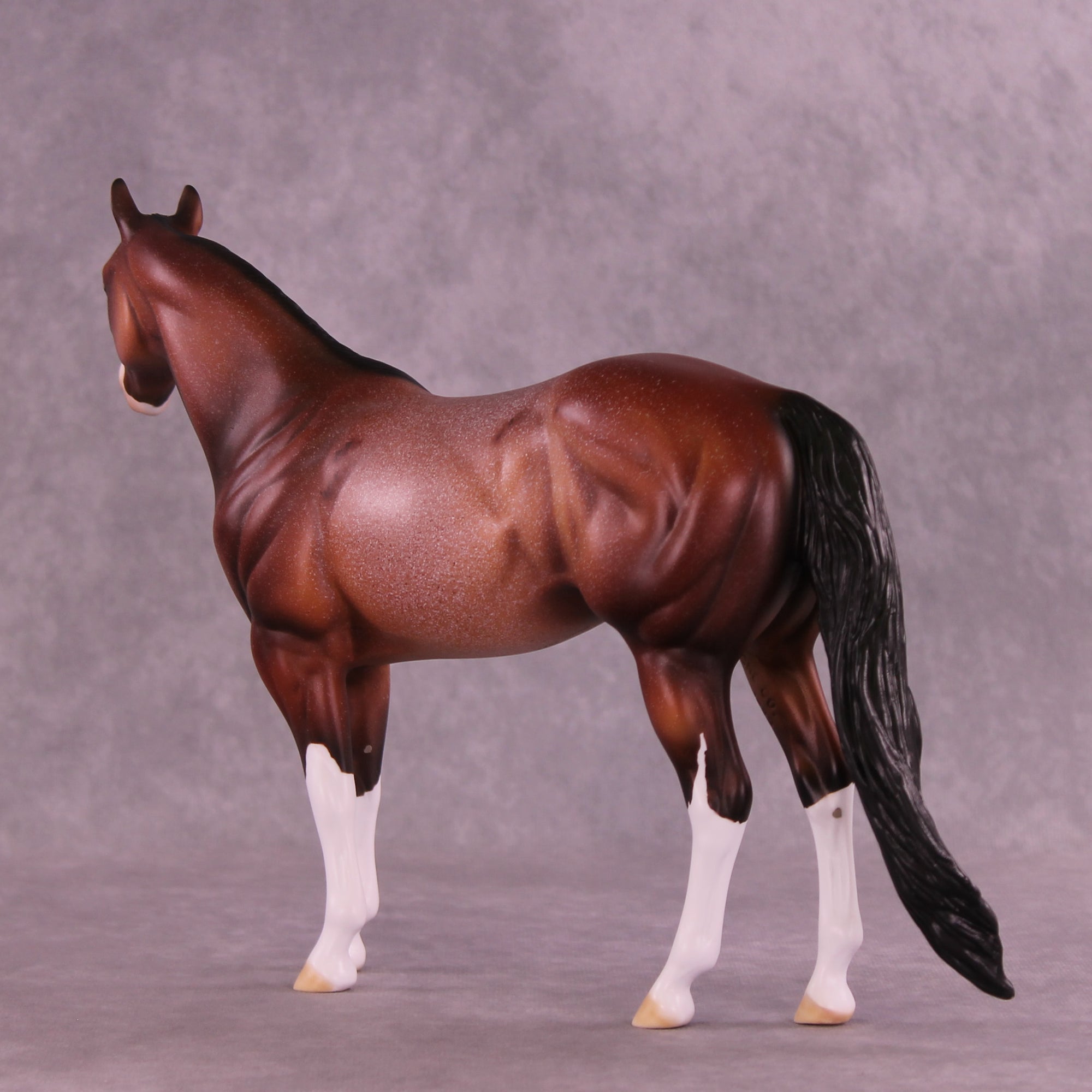 Apéritif OOAK Ideal Stock Horse by Dawn Quick HS25