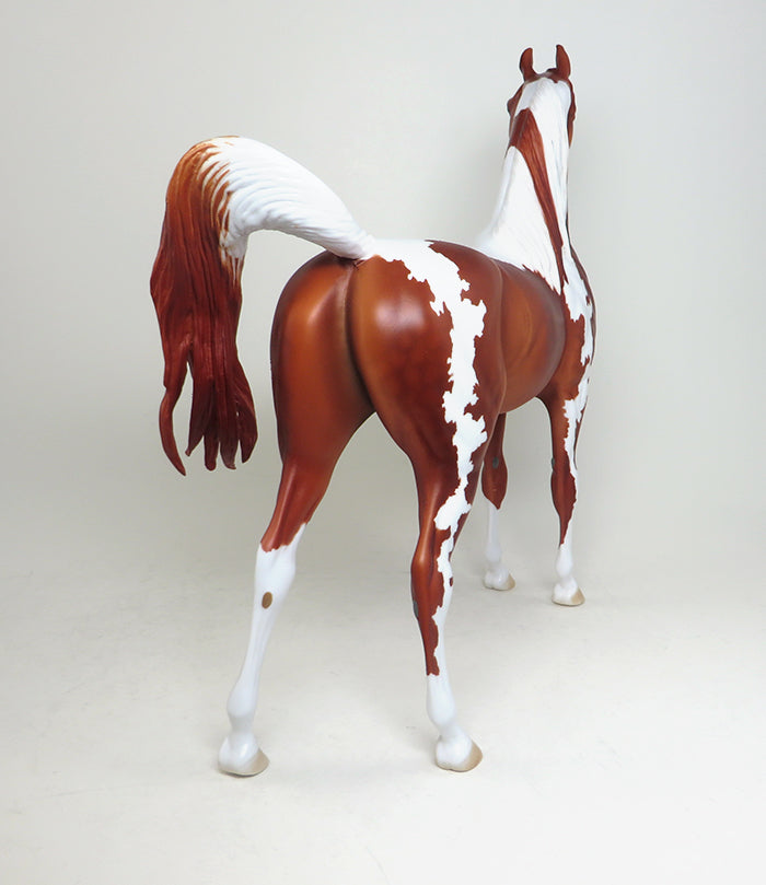 amazing arabian paint model horse