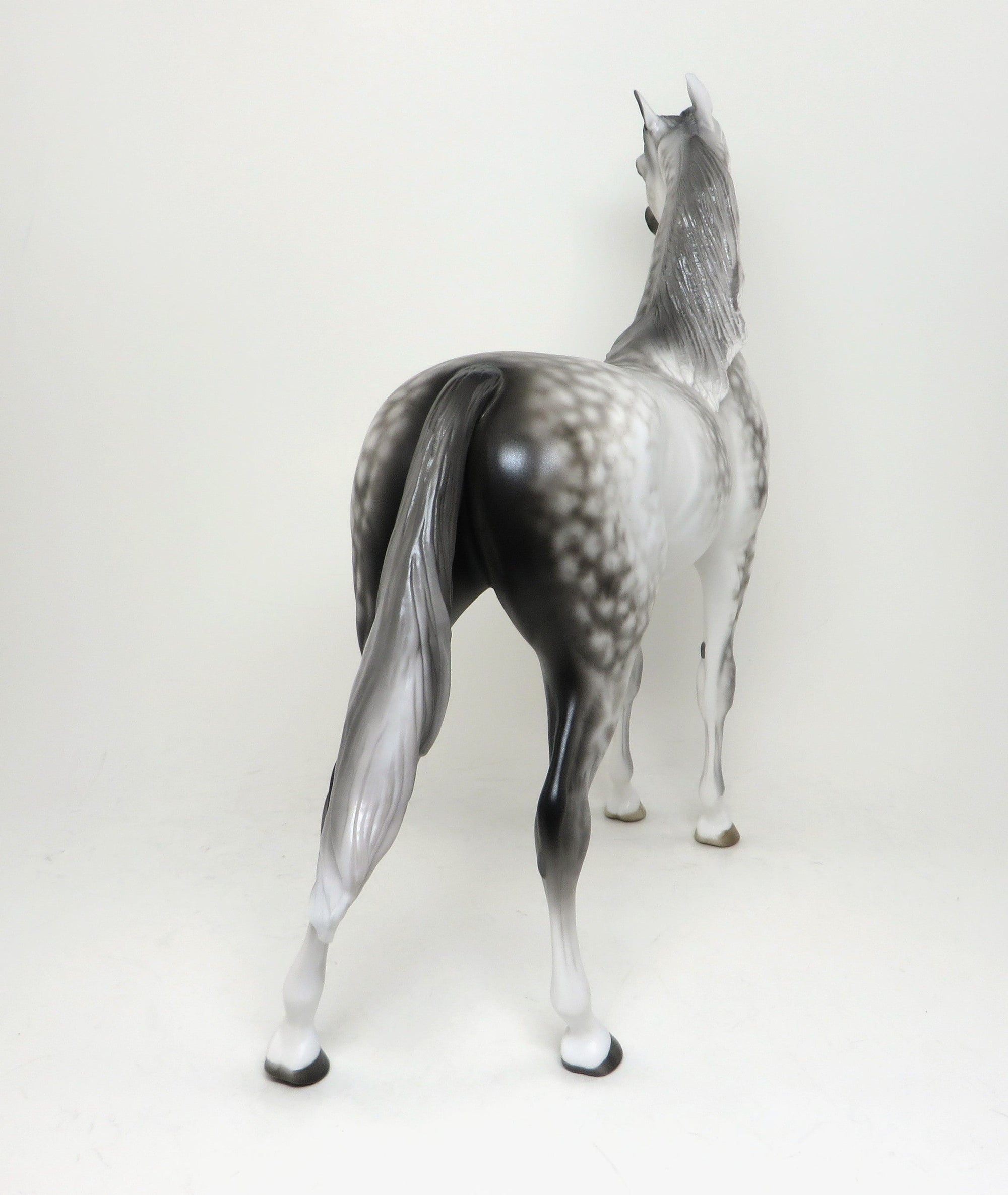 SUKKA - LIMITED EDITION STAR DAPPLE GREY ARABIAN MODEL HORSE by SHERYL LEISURE - LE2 - 1/15