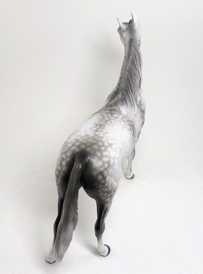 SUKKA - LIMITED EDITION STAR DAPPLE GREY ARABIAN MODEL HORSE by SHERYL LEISURE - LE2 - 1/15