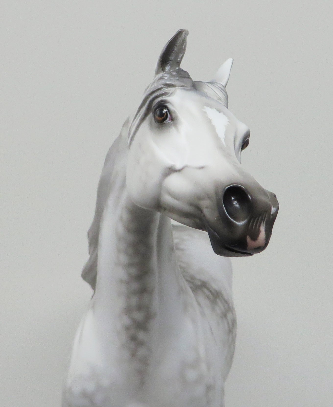 SUKKA - LIMITED EDITION STAR DAPPLE GREY ARABIAN MODEL HORSE by SHERYL LEISURE - LE2 - 1/15