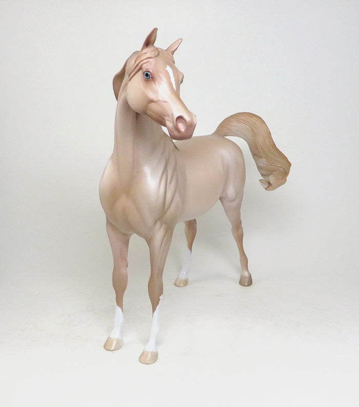 illuminata perlino arabian