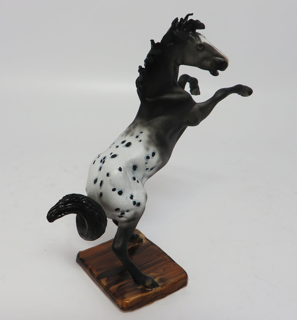 AZTEC-OOAK APPALOOSA REARING CHIP MODEL HORSE BY DAWN QUICK 5/05/17