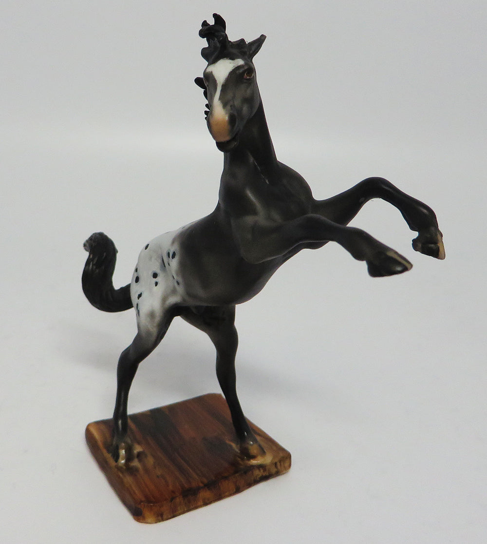 AZTEC-OOAK APPALOOSA REARING CHIP MODEL HORSE BY DAWN QUICK 5/05/17