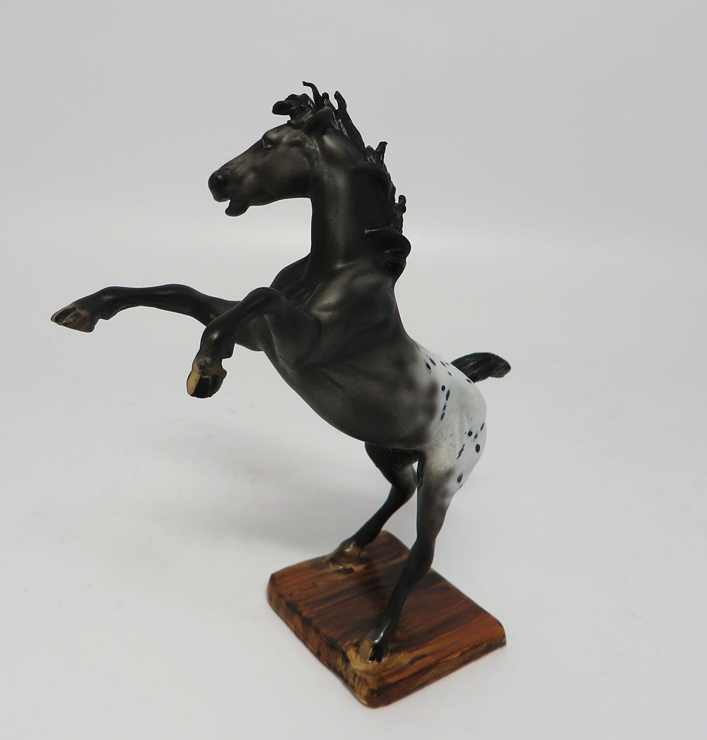 AZTEC-OOAK APPALOOSA REARING CHIP MODEL HORSE BY DAWN QUICK 5/05/17