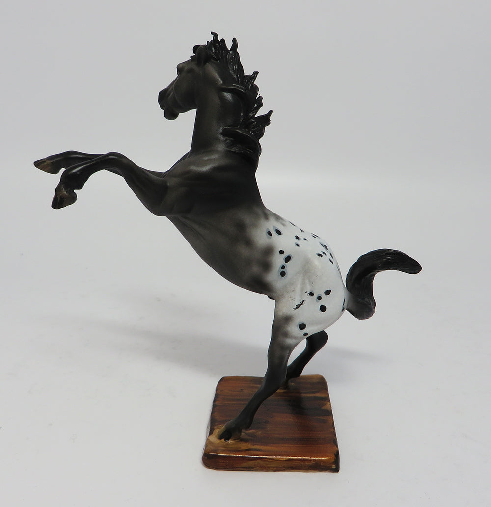 AZTEC-OOAK APPALOOSA REARING CHIP MODEL HORSE BY DAWN QUICK 5/05/17