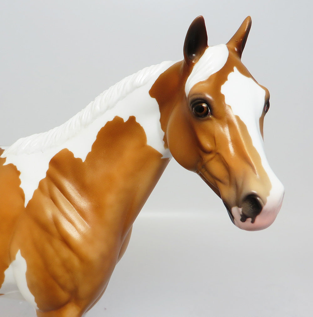 BADLANDS-LE-5 DAPPLE PALOMINO ISH EQ 2017