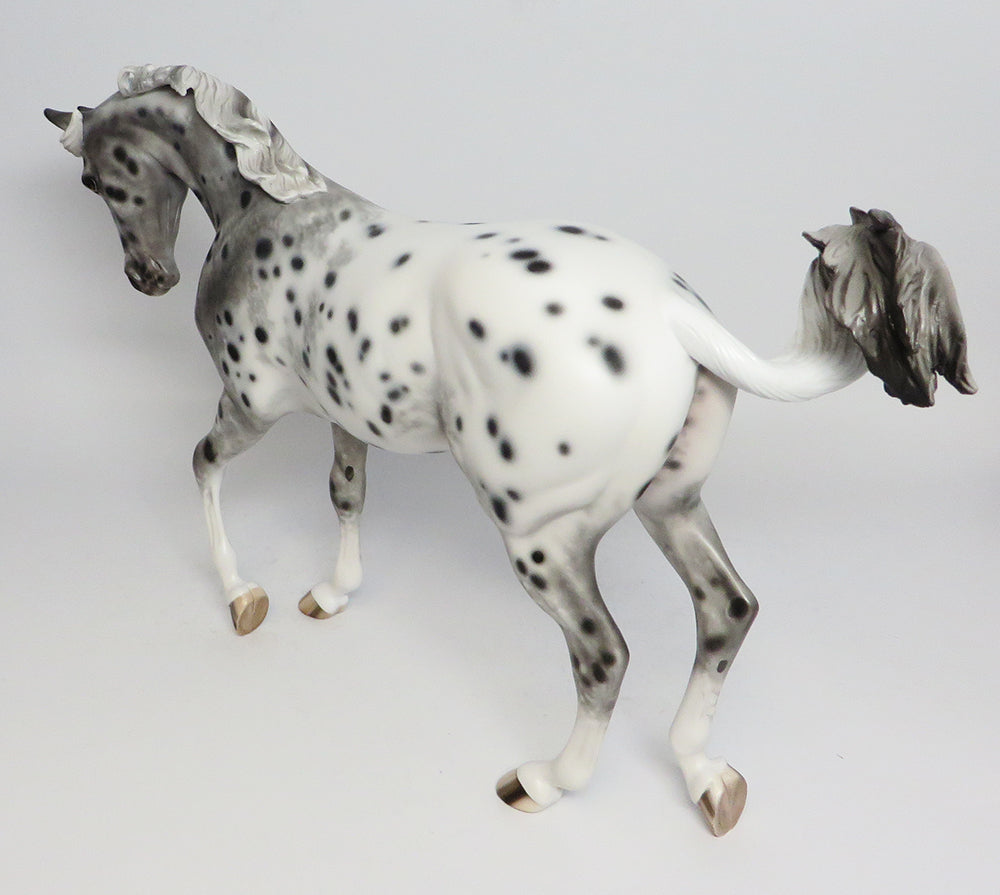 BELIEVE~OOAK LOUD APPALOOSA THOROUGHBRED MODEL HORSE 5/1