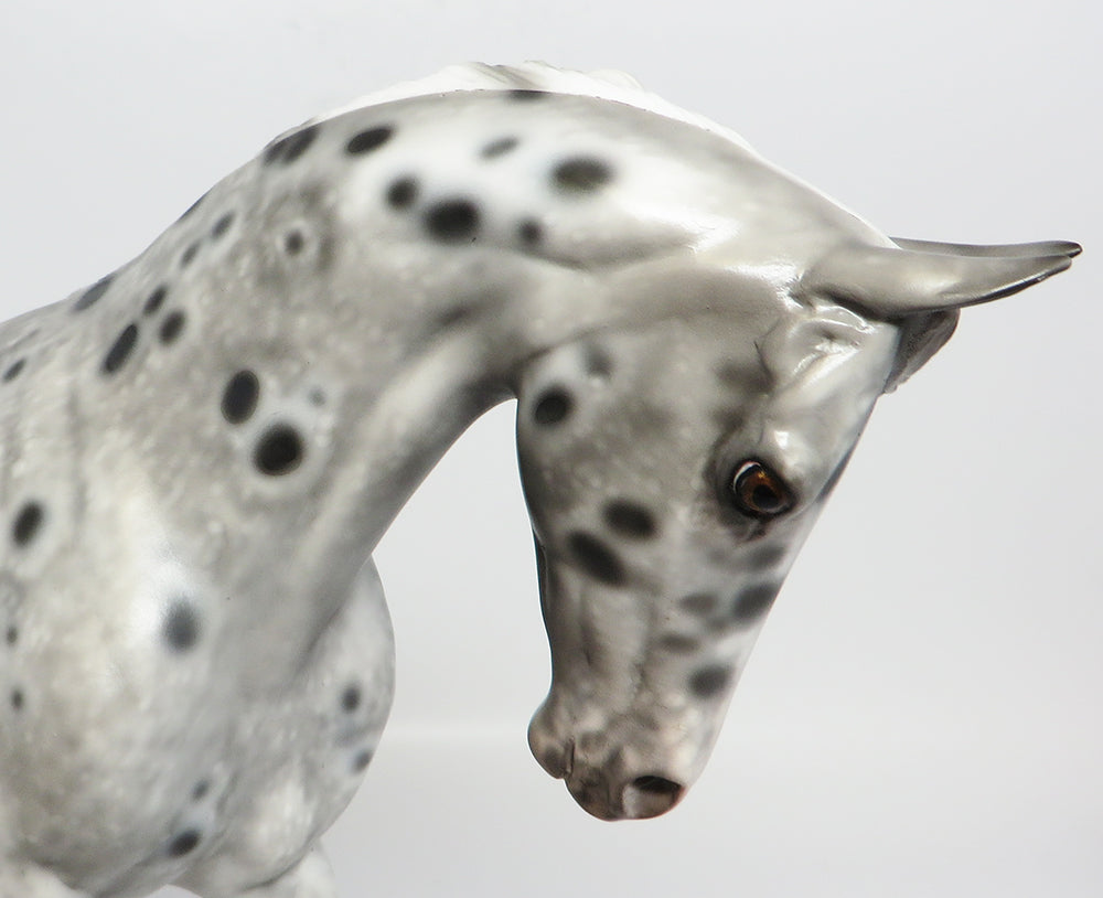 BELIEVE~OOAK LOUD APPALOOSA THOROUGHBRED MODEL HORSE 5/1