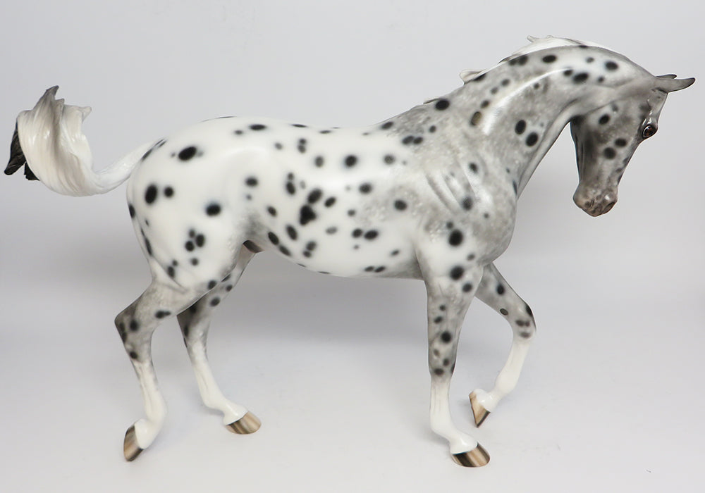 BELIEVE~OOAK LOUD APPALOOSA THOROUGHBRED MODEL HORSE 5/1