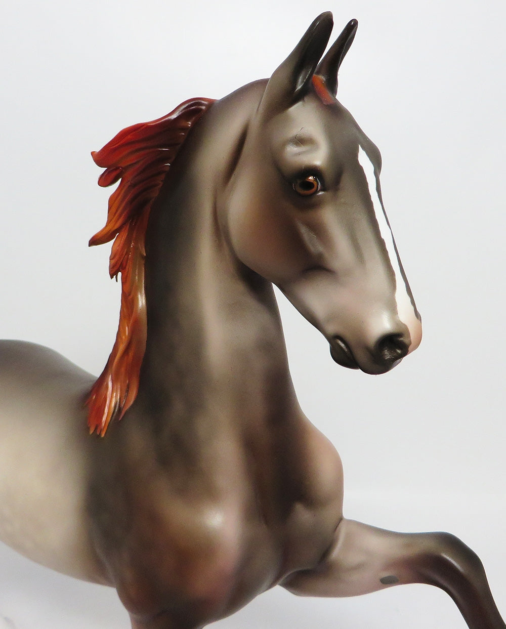 BERRYESSA-LE-5 DAPPLE GREY SADDLEBRED WITH CUSTOM MANE AND TAIL EQ 2017