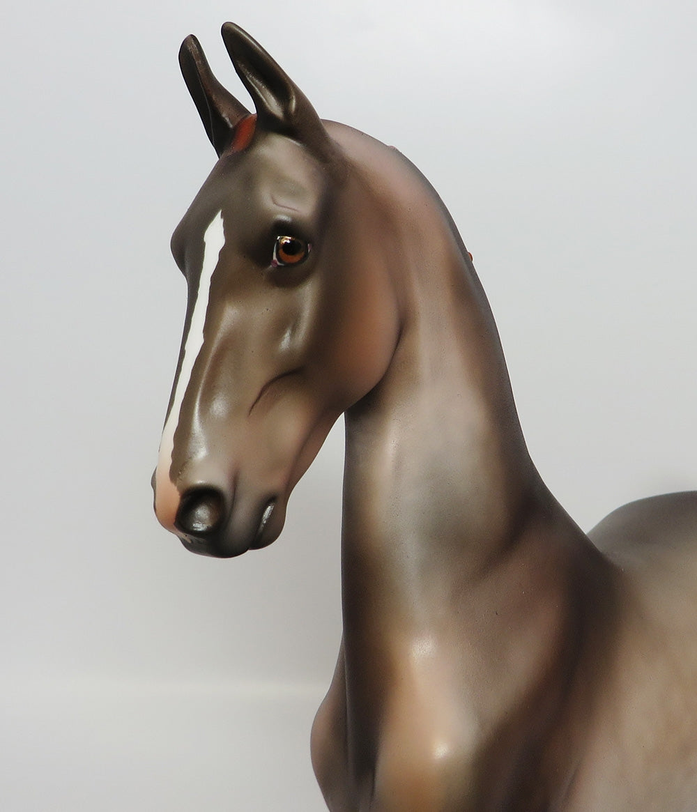 BERRYESSA-LE-5 DAPPLE GREY SADDLEBRED WITH CUSTOM MANE AND TAIL EQ 2017