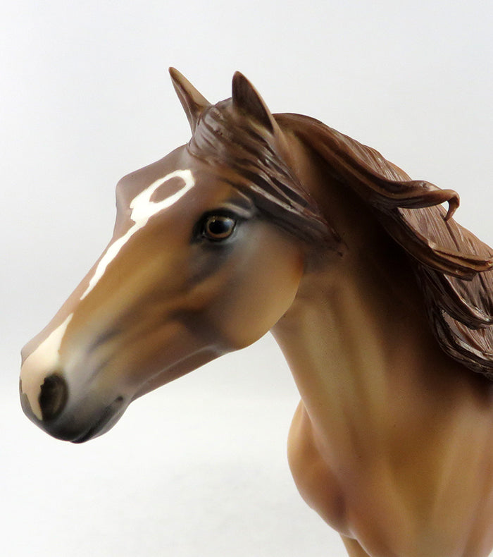 BILLINGS-OOAK RED DUN SPANISH MUSTANG MODEL HORSE 2/3