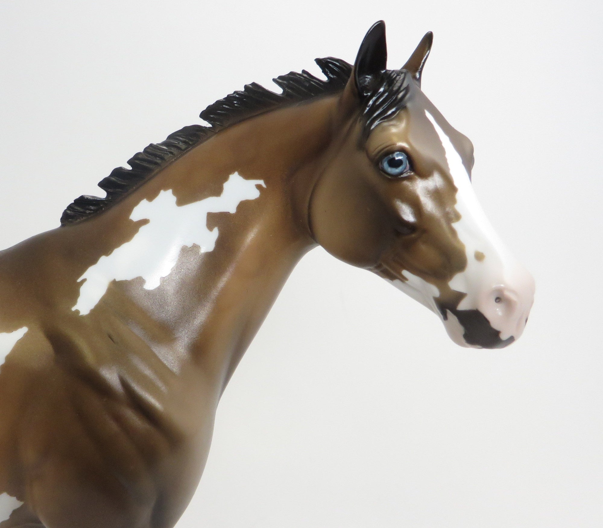 BIMISI ("SLIPPERY") - OOAK Sooty Buckskin Paint ISH - 9/2