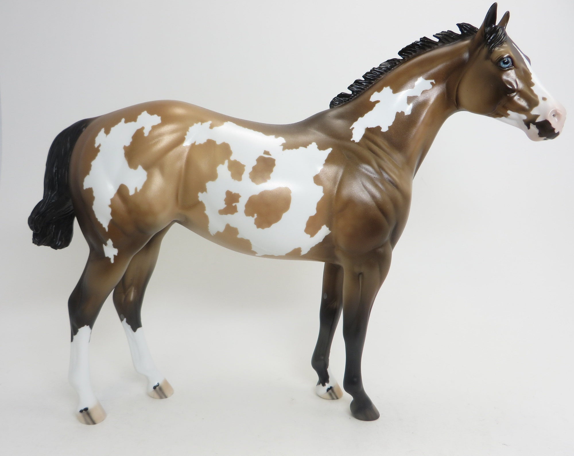 BIMISI ("SLIPPERY") - OOAK Sooty Buckskin Paint ISH - 9/2