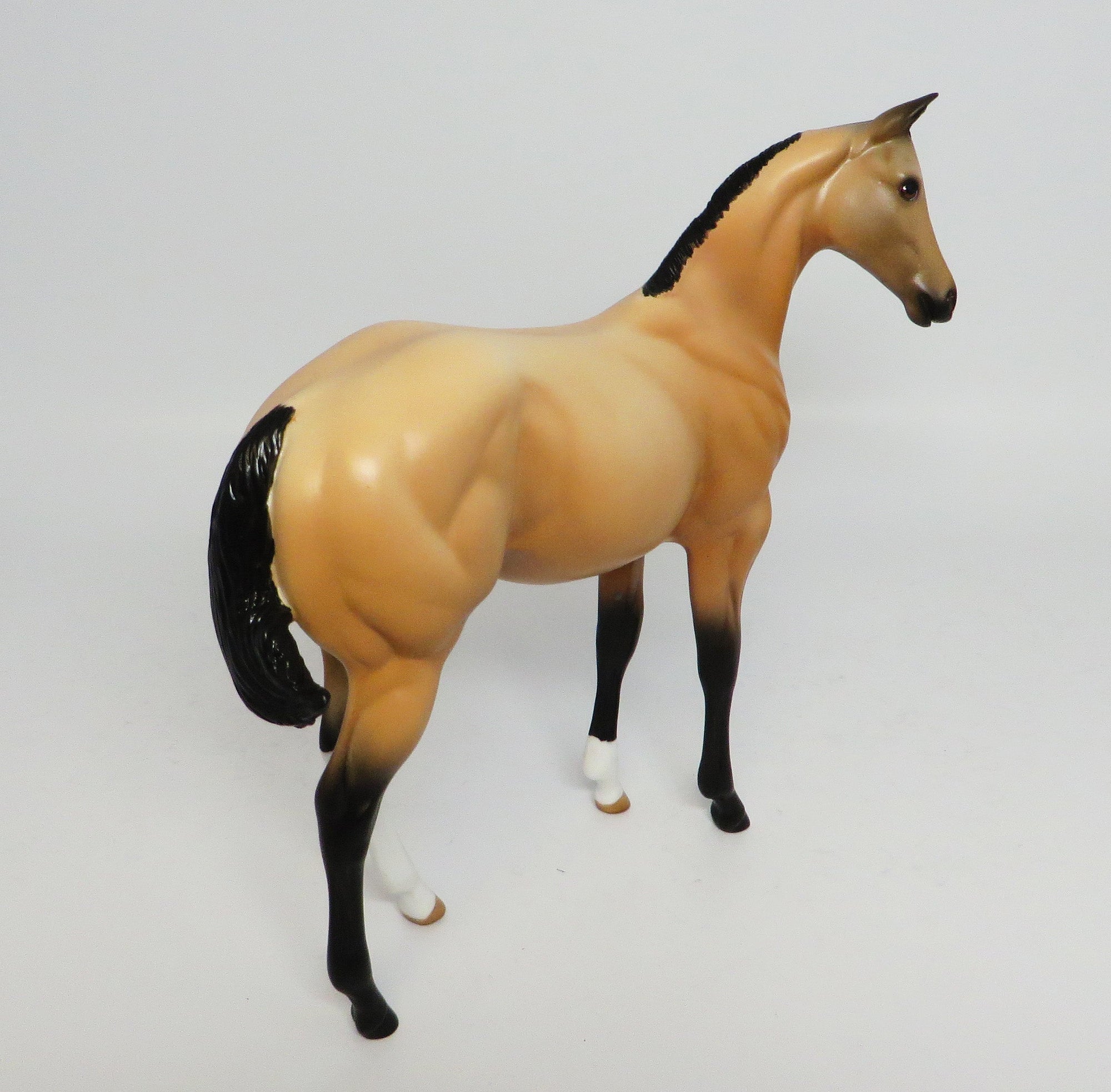 BISQUITS-LE-4 BUCKSKIN WEANLING MODEL HORSE 5/5