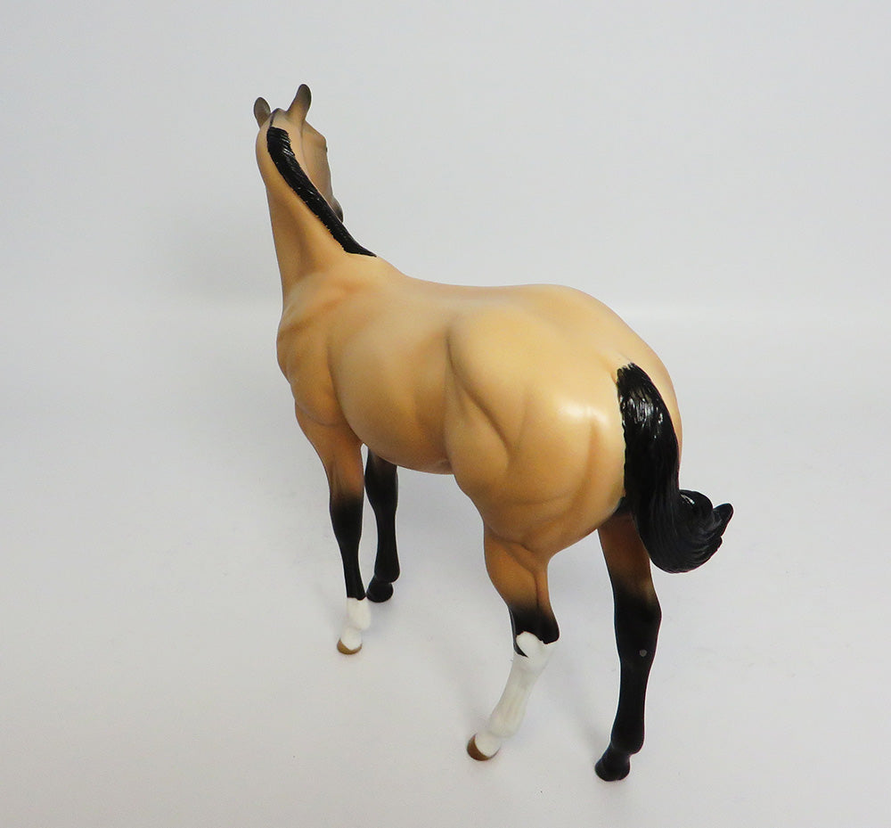 BISQUITS-LE-4 BUCKSKIN WEANLING MODEL HORSE 5/5