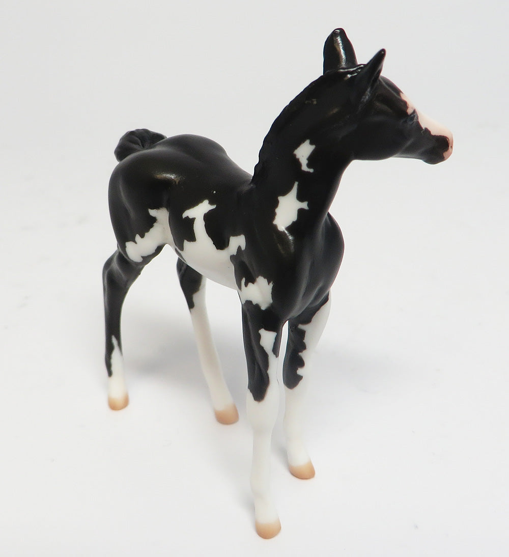 BITTY BABY-LE-4 BLACK OVERO W/ BLUE EYES FOAL CHIP BY CARRIE KELLER EQUINE AFFAIR 2017