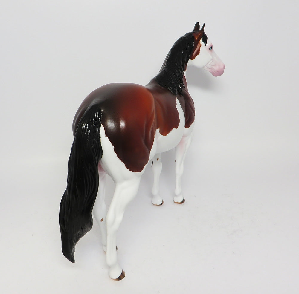 BLACKFOOT-OOAK BAY SPLASH ISH MODEL HORSE EQ 2017