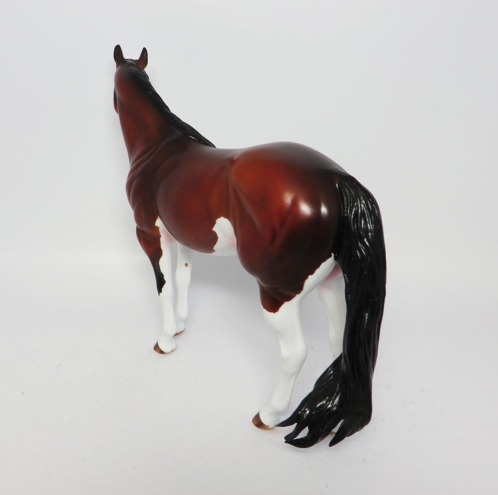 BLACKFOOT-OOAK BAY SPLASH ISH MODEL HORSE EQ 2017
