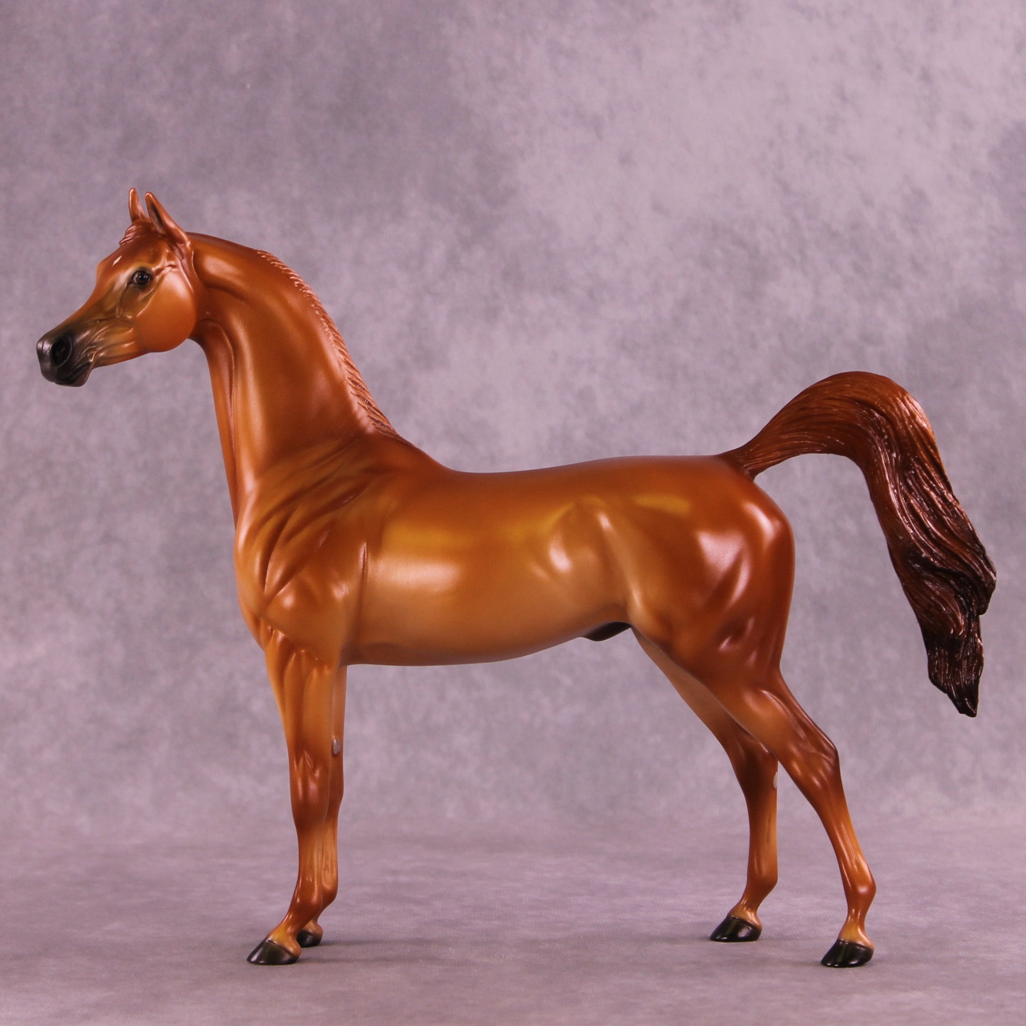 Blazing Bright OOAK FCM Arabian Stallion by Ellen Robbins HS25