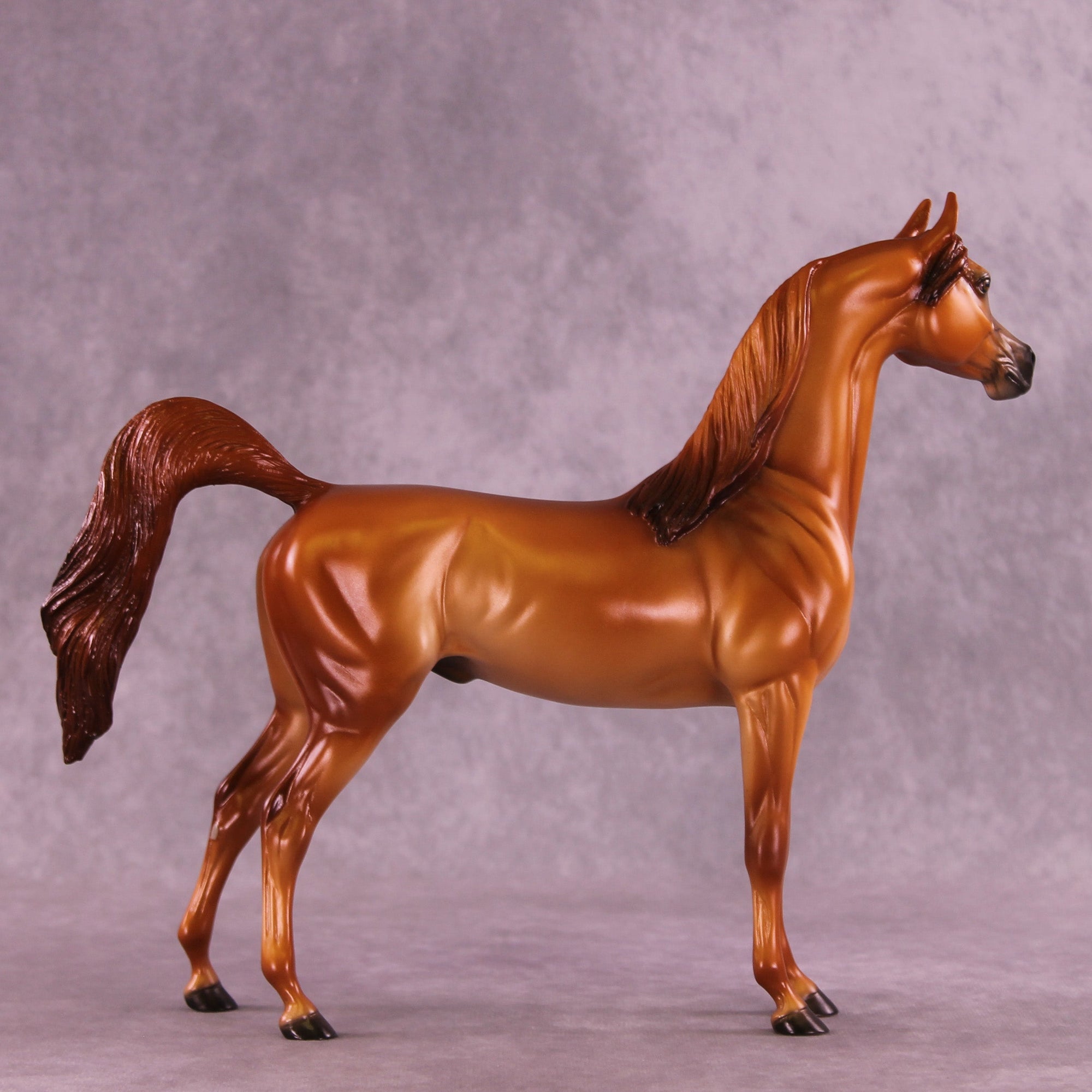 Blazing Bright OOAK FCM Arabian Stallion by Ellen Robbins HS25