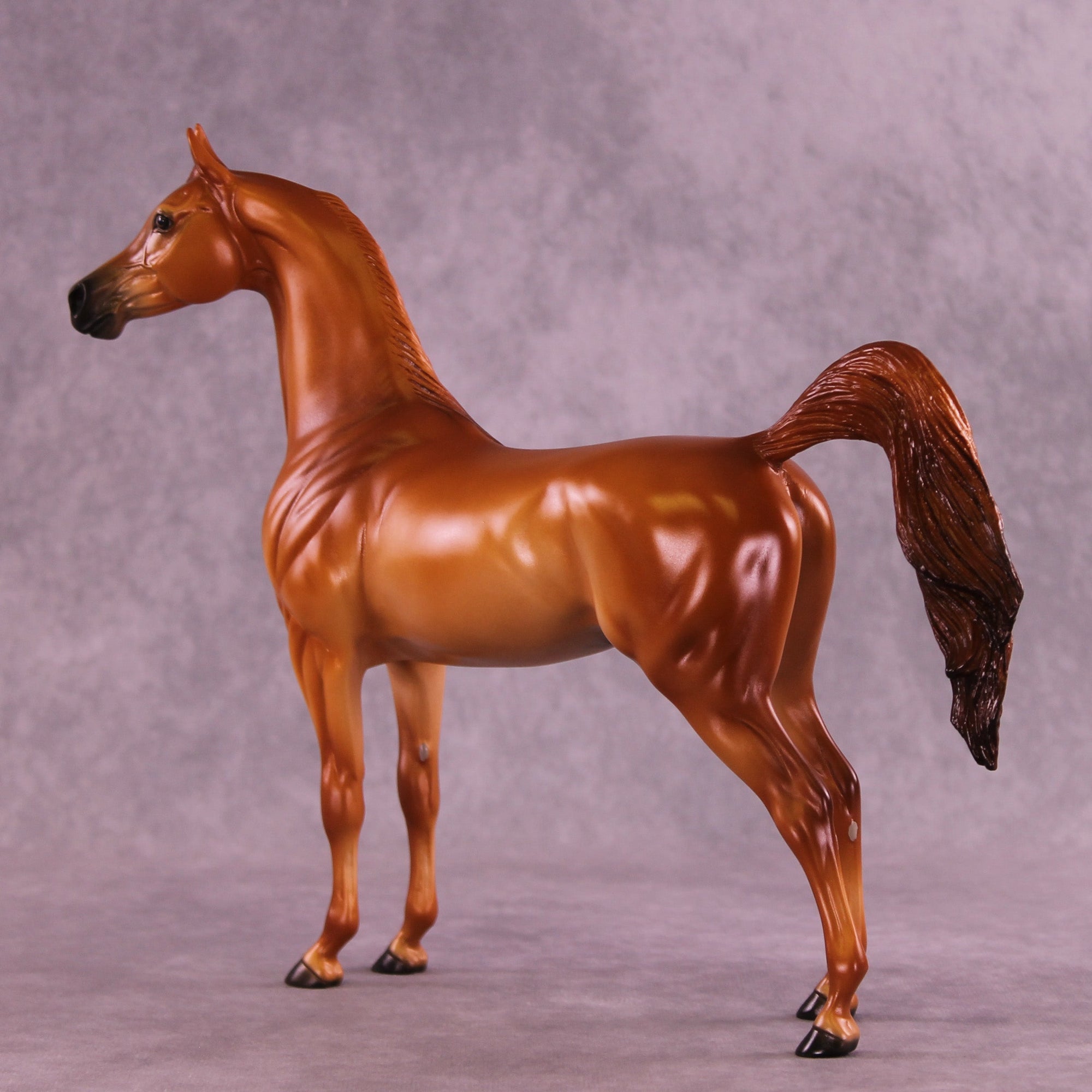 Blazing Bright OOAK FCM Arabian Stallion by Ellen Robbins HS25