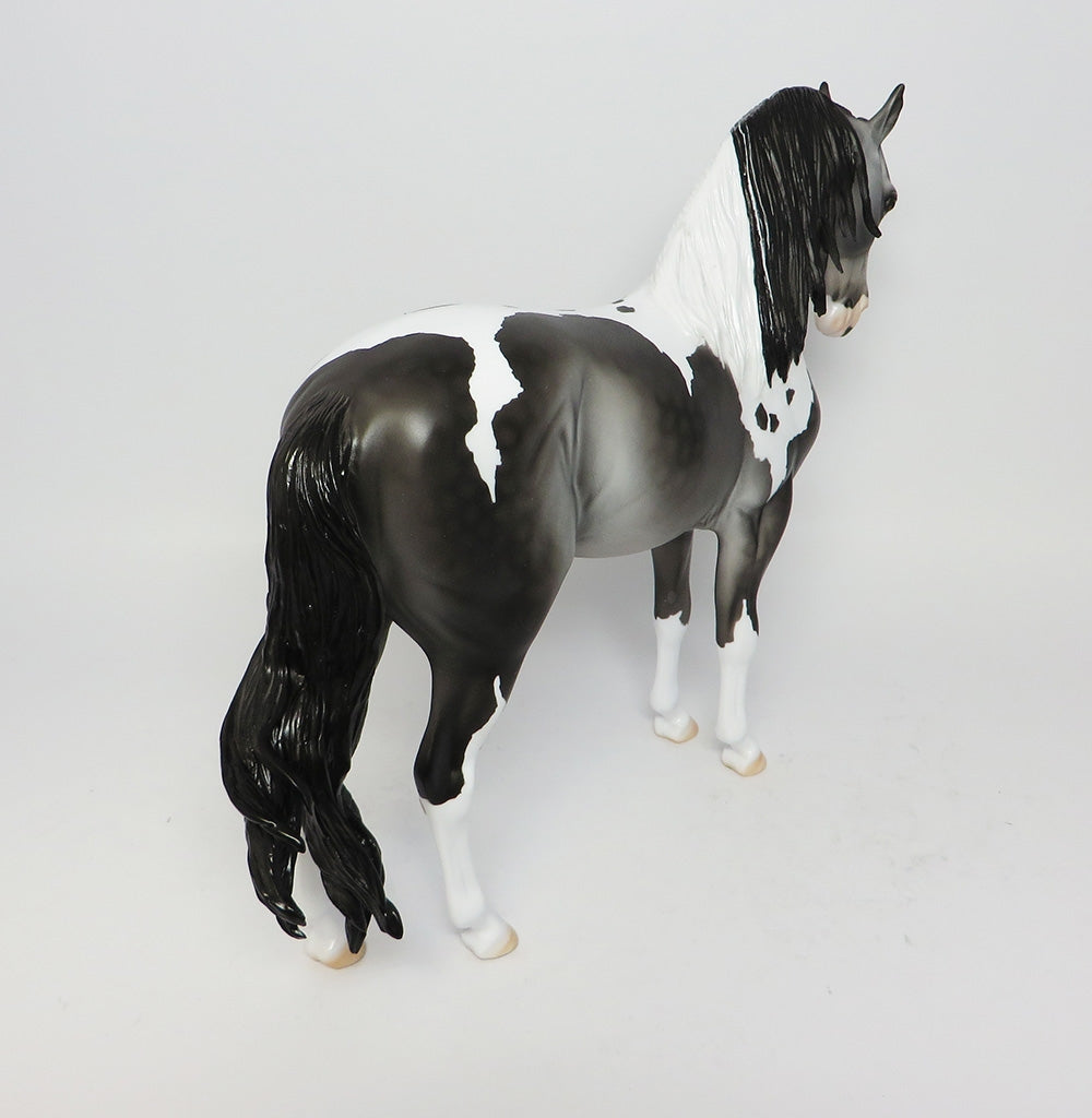 BOOKER T-OOAK DAPPLE GREY PAINT ANDALUSIAN CM TAIL AND LONG MANE