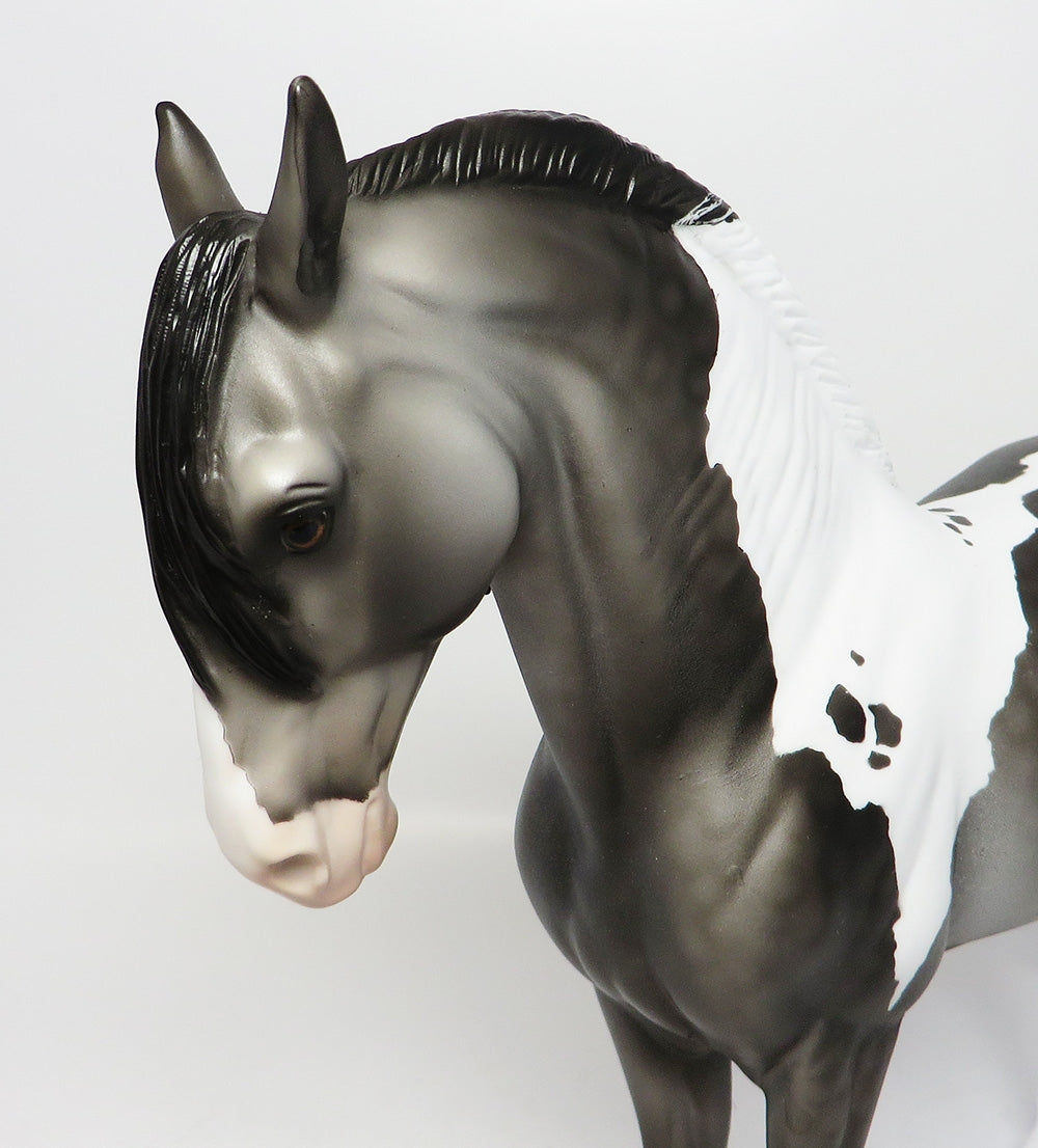 BOOKER T-OOAK DAPPLE GREY PAINT ANDALUSIAN CM TAIL AND LONG MANE