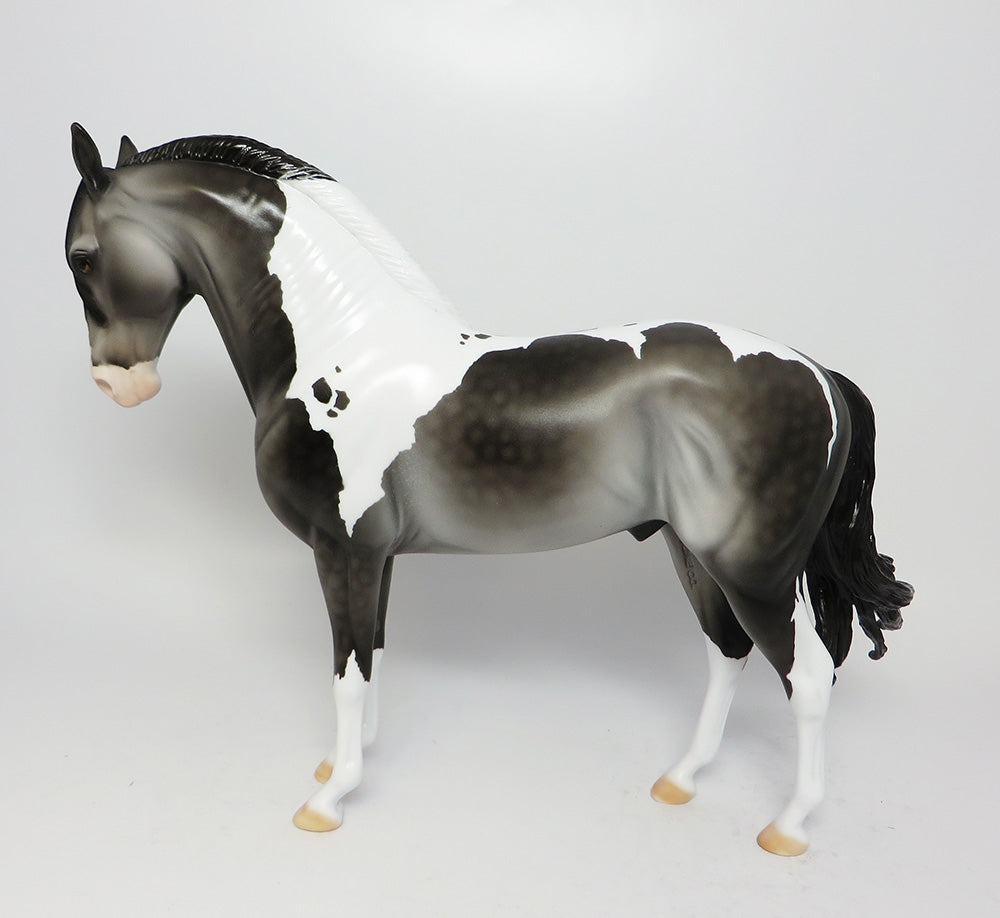 BOOKER T-OOAK DAPPLE GREY PAINT ANDALUSIAN CM TAIL AND LONG MANE