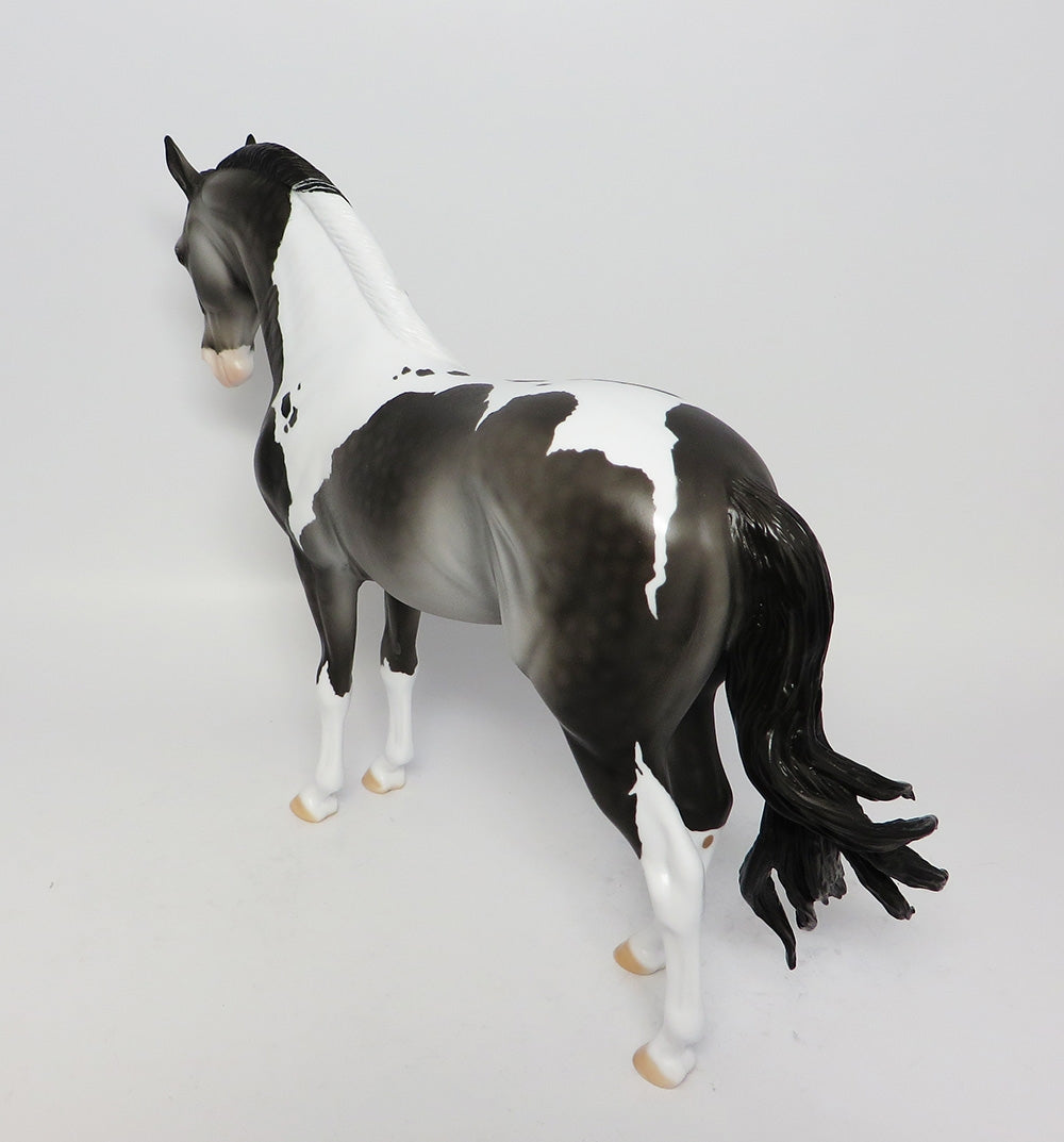 BOOKER T-OOAK DAPPLE GREY PAINT ANDALUSIAN CM TAIL AND LONG MANE