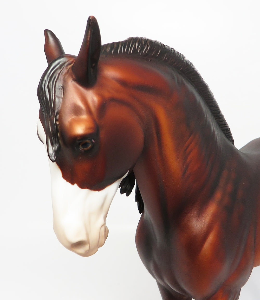 BURGOO-OOAK DAPPLE BAY BRAIDED MANE AND CM TAIL EQ 2017