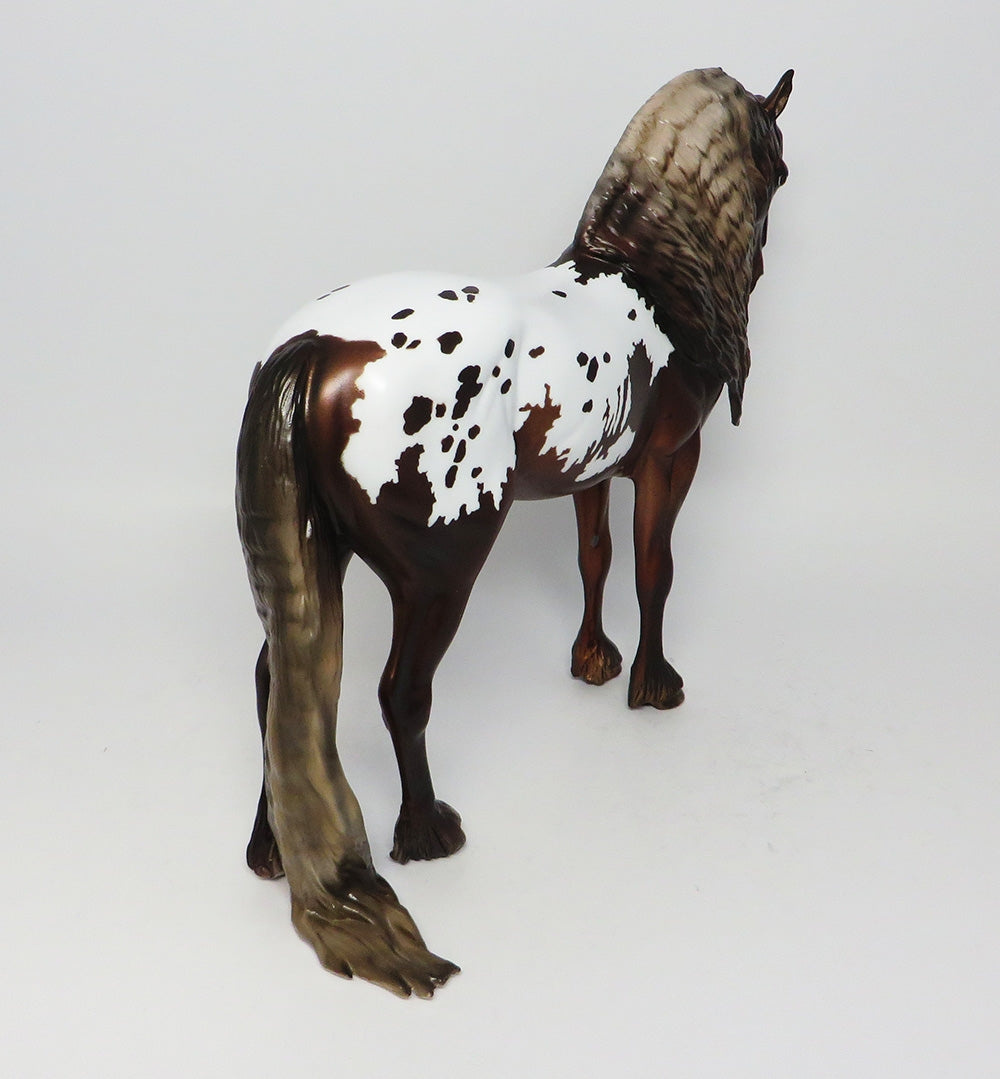 CADILLAC MOUNTAIN-LE-3-CHESTNUT APPALOOSA PUDDLE TAIL ANDALUSIAN EQ 2017