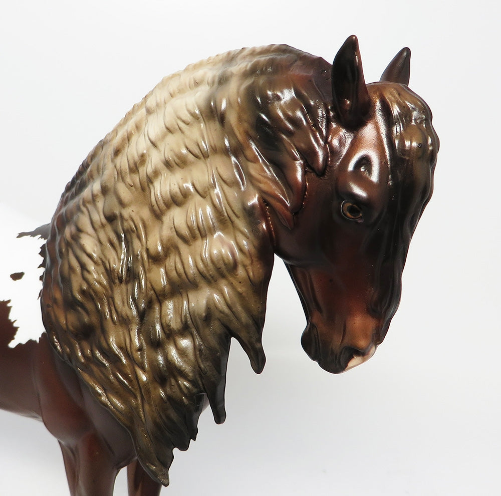 CADILLAC MOUNTAIN-LE-3-CHESTNUT APPALOOSA PUDDLE TAIL ANDALUSIAN EQ 2017