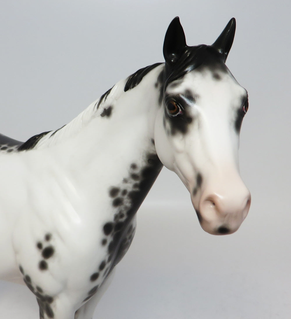 CALIENTE-OOAK BLACK FRAME OVERO ISH MODEL HORSE BY SHERYL LEISURE 06/30/17