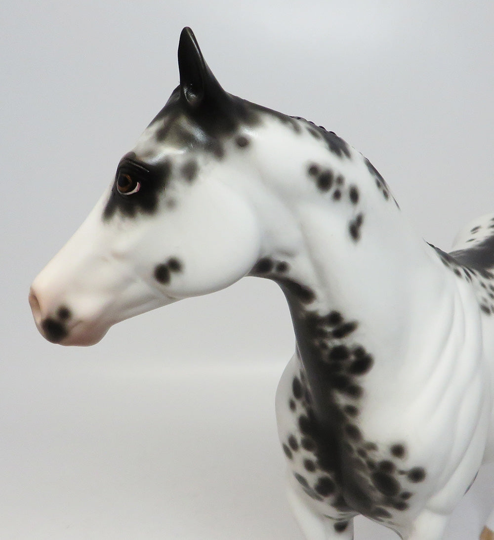 CALIENTE-OOAK BLACK FRAME OVERO ISH MODEL HORSE BY SHERYL LEISURE 06/30/17