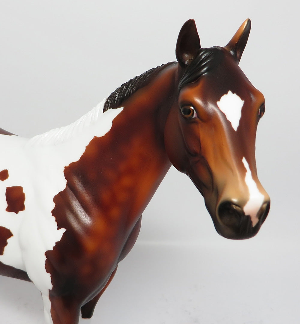 CARBON COPY-LE-3 BAY PINTO ISH MODEL HORSE MM 2017