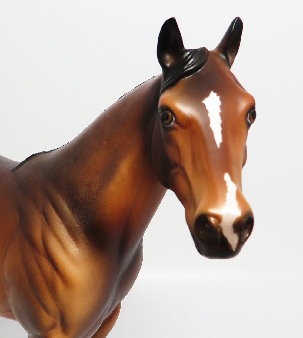 cayuga~ooak dapple bay blanket appaloosa ish model horse EQ 2017