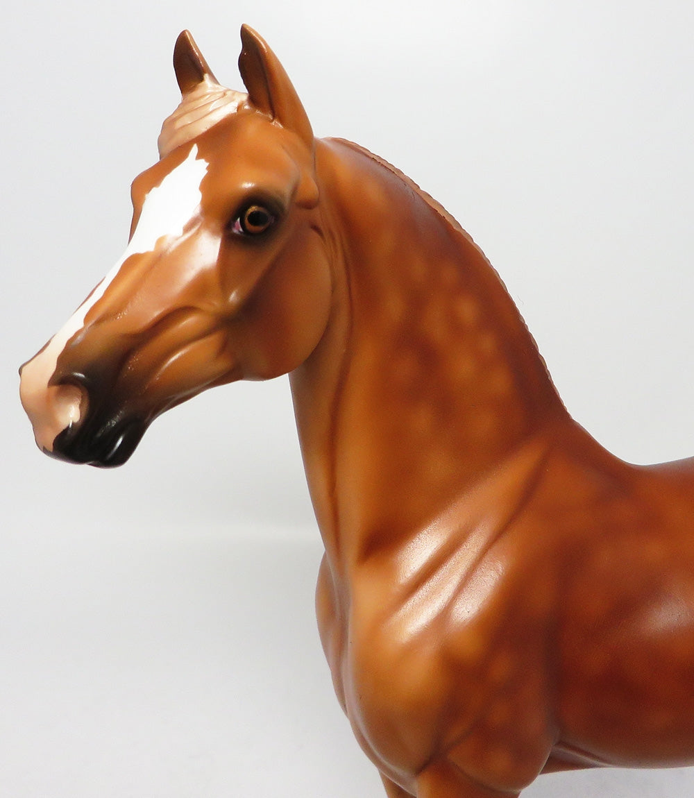 CEDAR BREAKS-LE-3 GLOSSY FINISHED DAPPLE CHESTNUT MORGAN HORSE EQ 2017