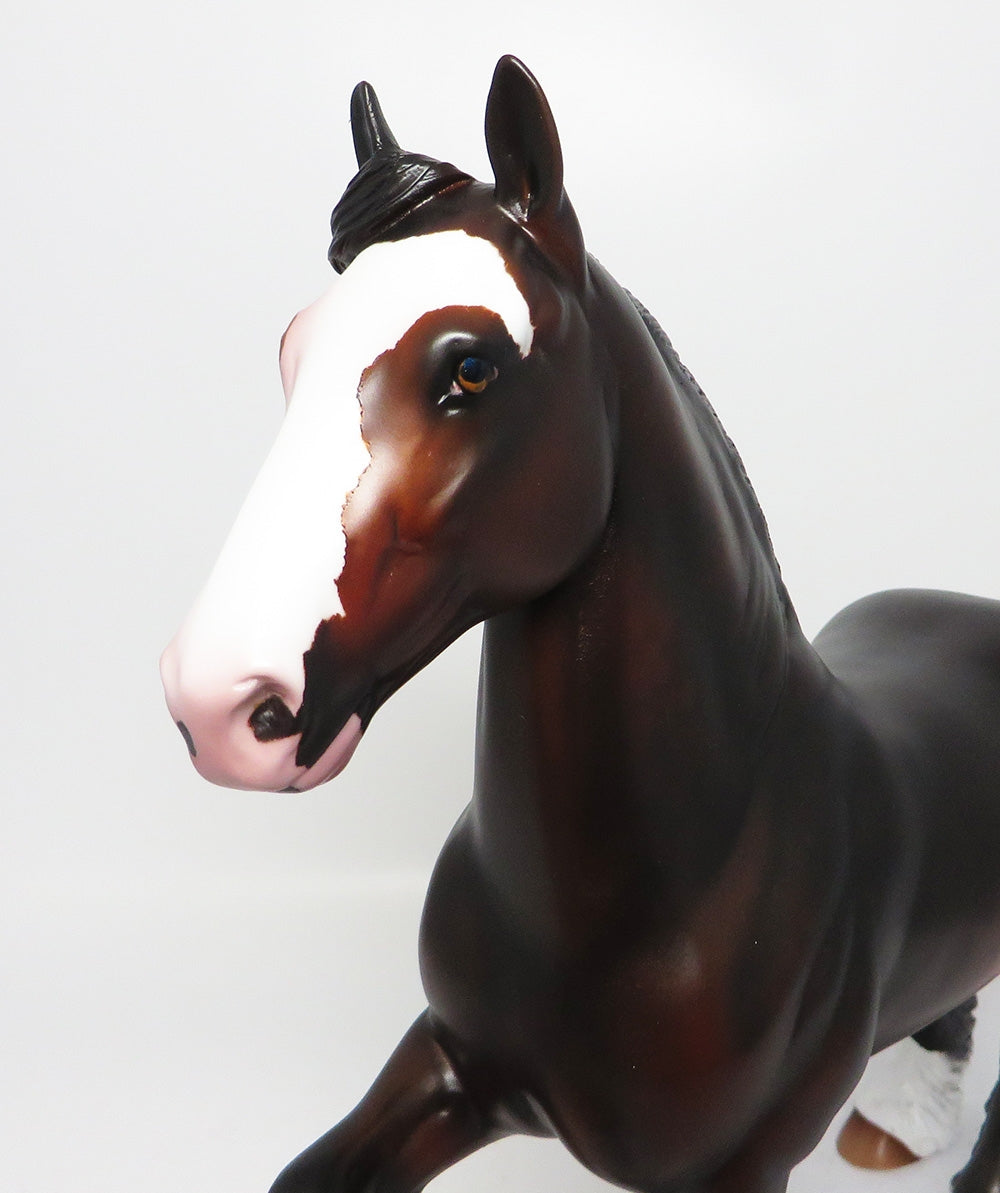 CHICKSAW-OOAK DARK DAPPLE BAY TROTTING DRAFTER EQ 2017