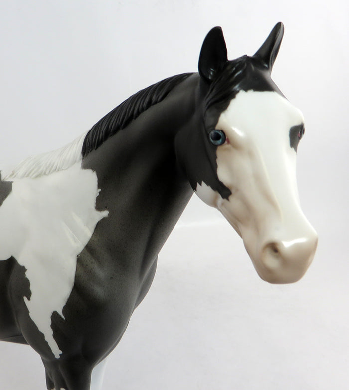 COACH-OOAK NC BLUE ROAN PAINT ISH MODEL HORSE 2/5/17