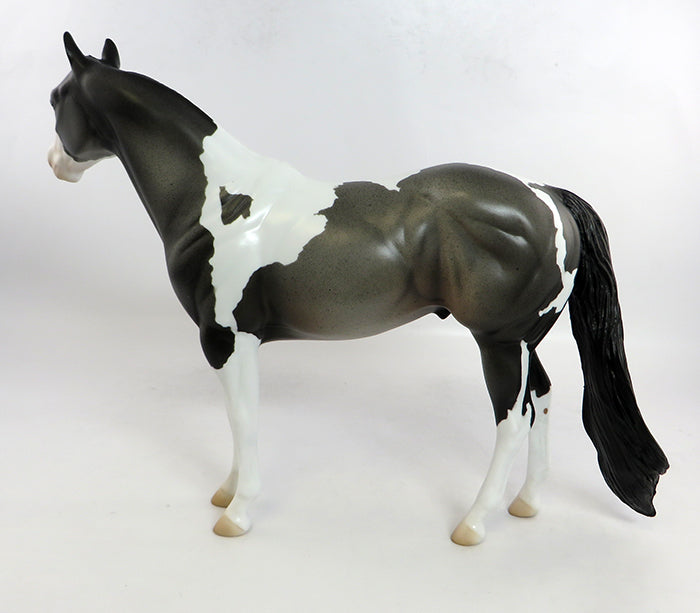 COACH-OOAK NC BLUE ROAN PAINT ISH MODEL HORSE 2/5/17