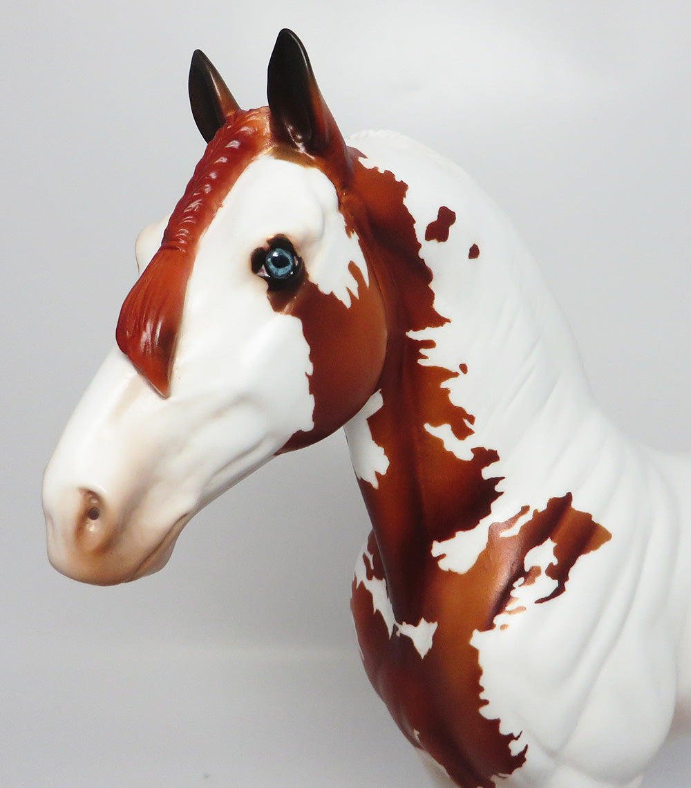 GAMBINO~OOAK CHETNUT PINTO BRAIDED MANE AND TAIL STANDING DRAFTER EQ 2017