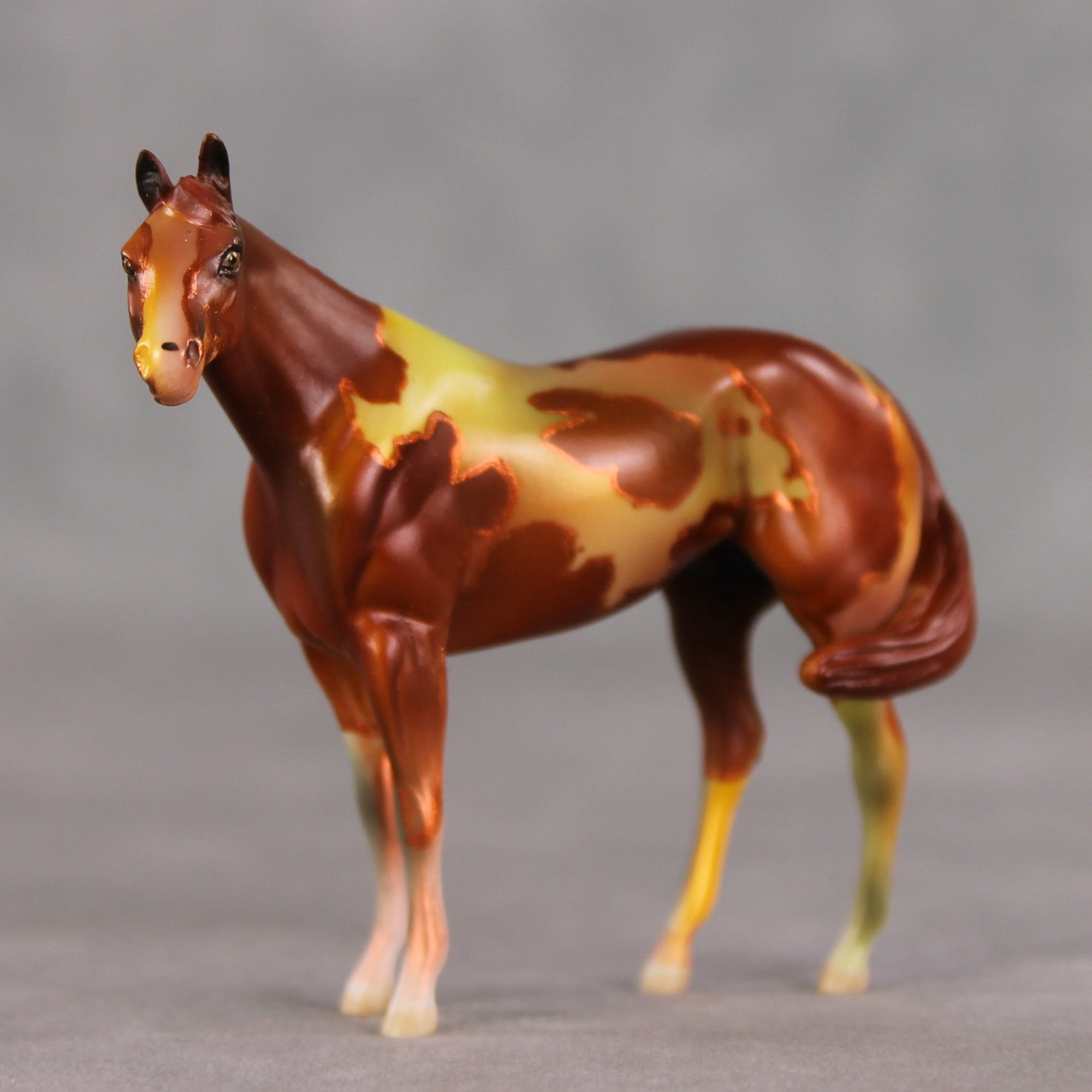 SAMPLE Garnet King LE-3 FCM Chip Stock Horse by Dawn Quick SS0326