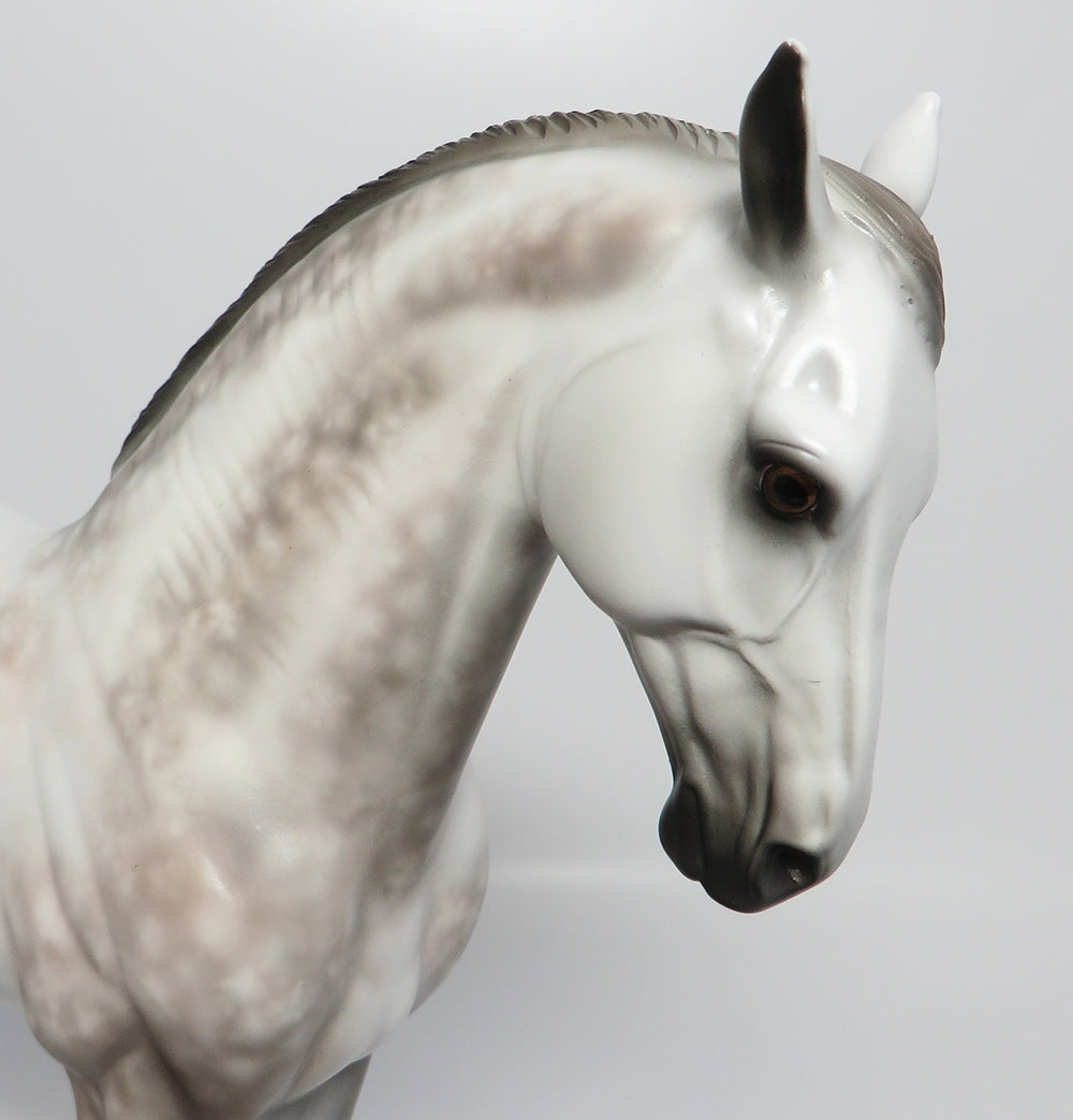 GLACIER~OOAK DAPPLE GREY ANDALUSIAN MODEL HORSE EQ 2017