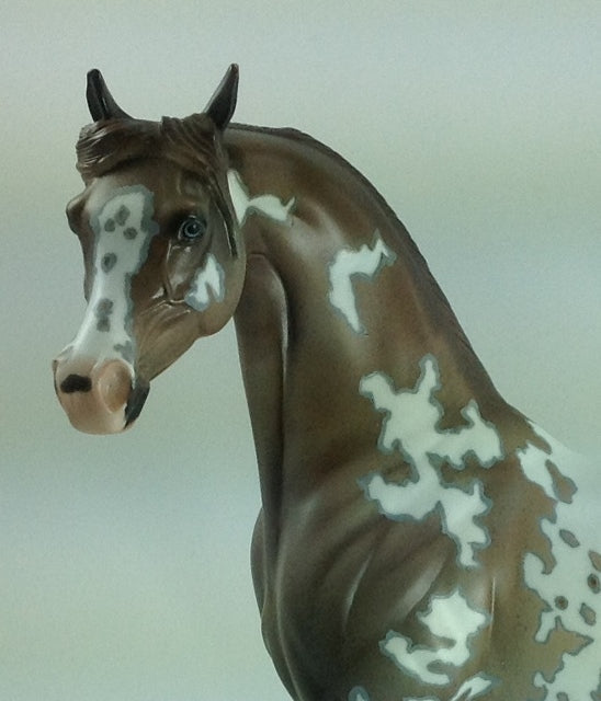 YOU GO GIRL - OOAK Appaloosa Arabian