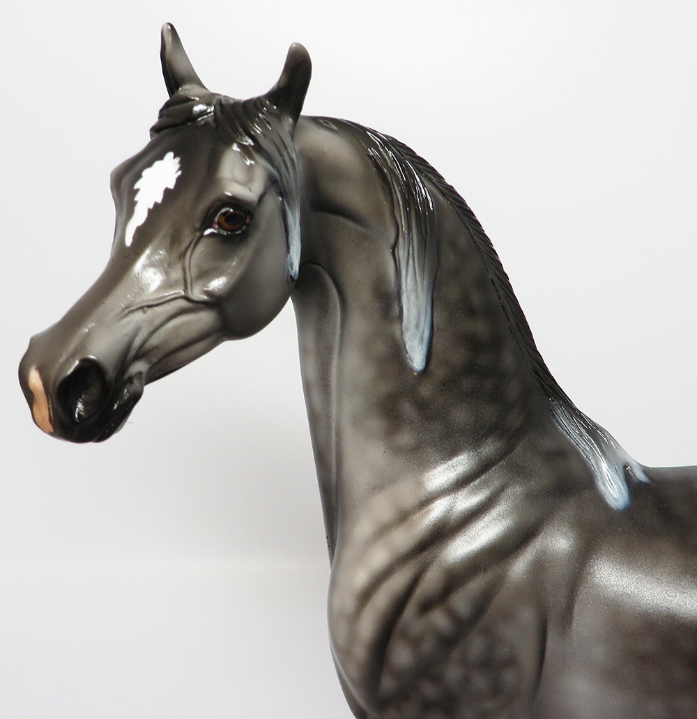 GRACE~OOAK DAPPLE GREY ARABIAN MODEL HORSE EQ 2017