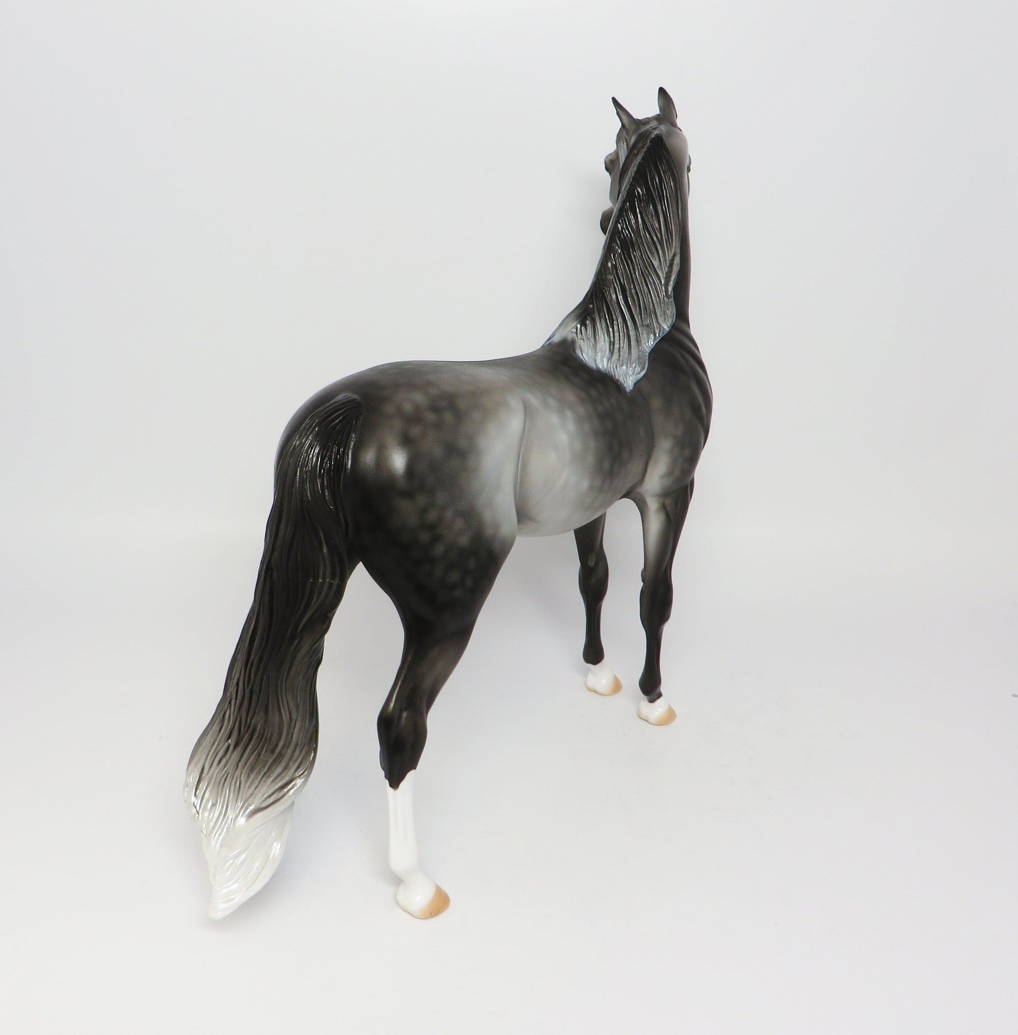 GRACE~OOAK DAPPLE GREY ARABIAN MODEL HORSE EQ 2017