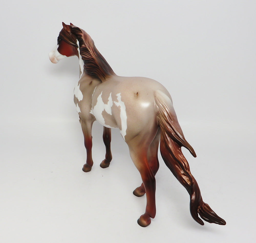 GRAND CANYON- LE-15 CHESNUT ROAN PINTO SPANISH MUSTANG BY JULIE KEIM EQ 2017